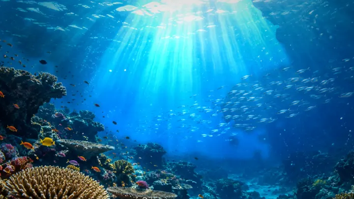 AI-painted wallpaper: sun rays through clear water over a coral reef